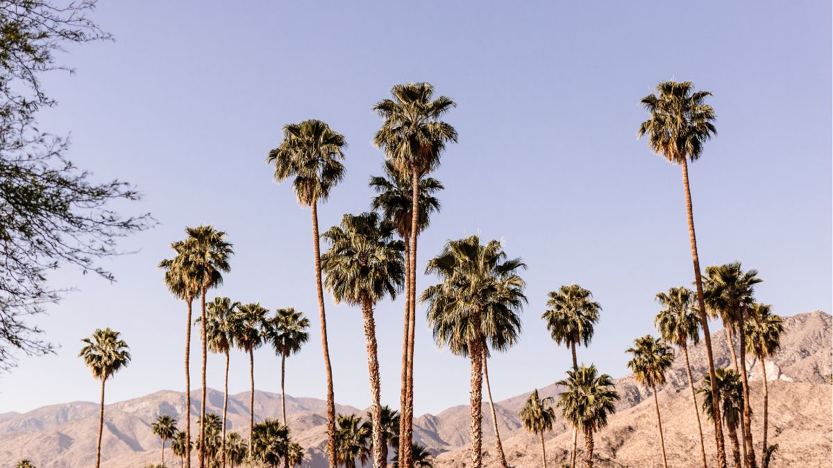 Desert Hot Springs